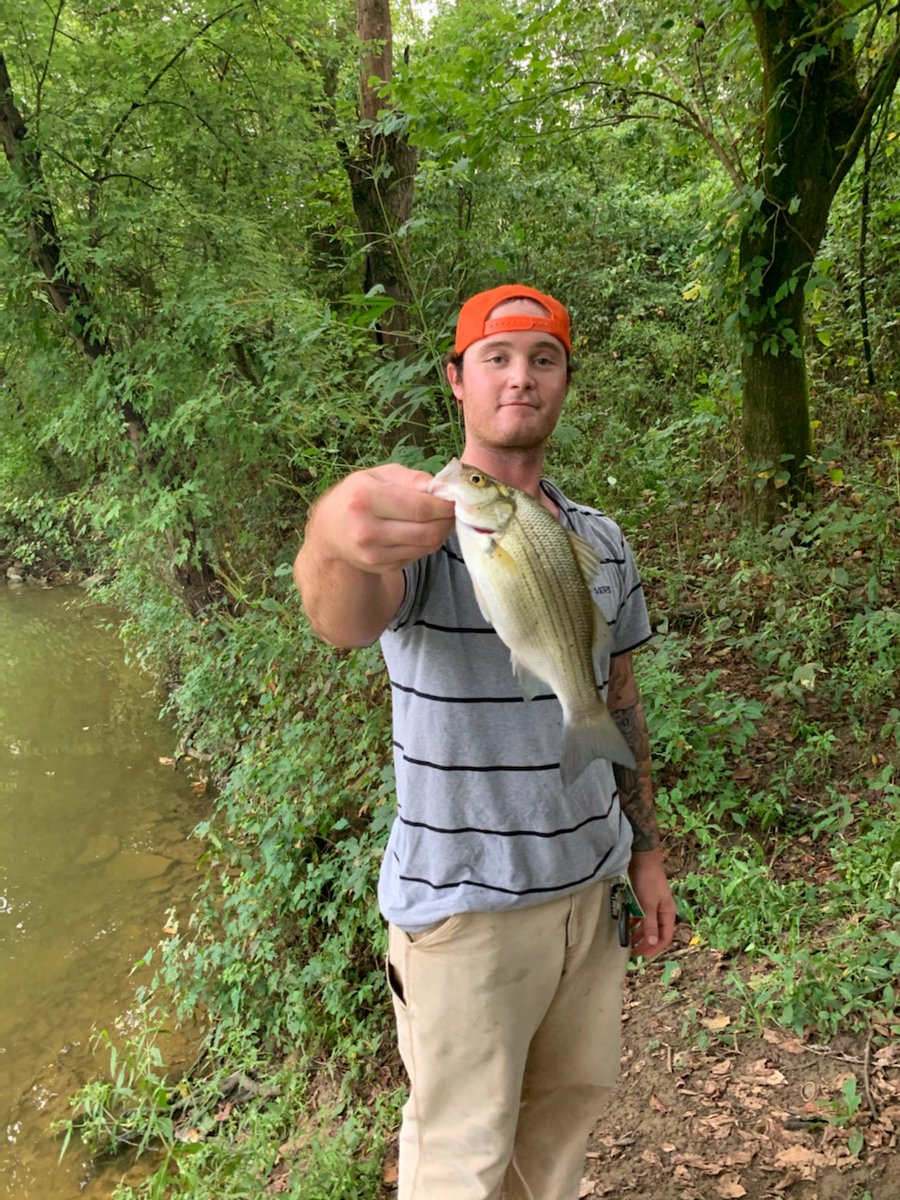 Left the boat at home and went out on foot! Felt great hiking down to the river for a change! Found a mess of white bass and crappie with a buddy!