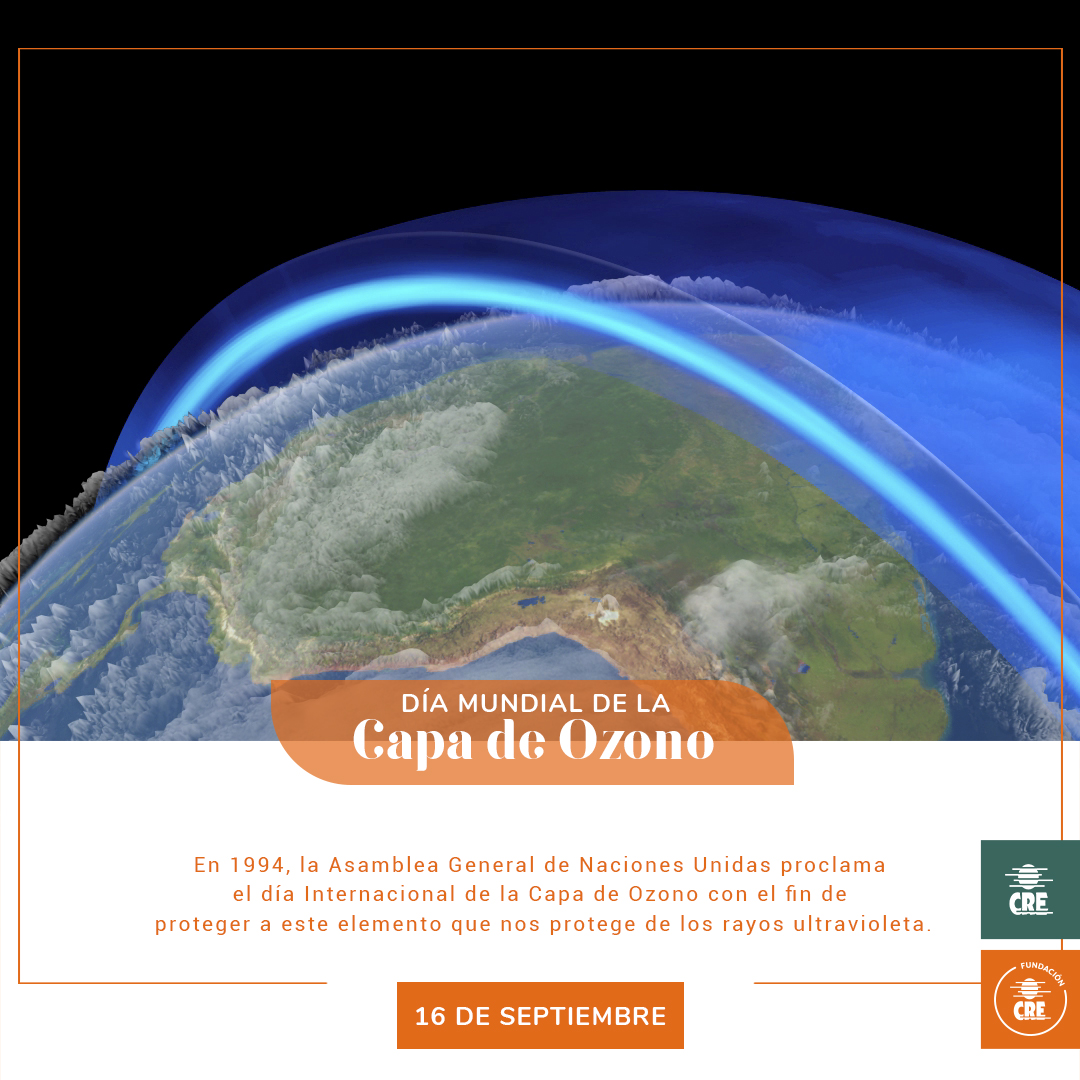 Fundacion CRE tweet media