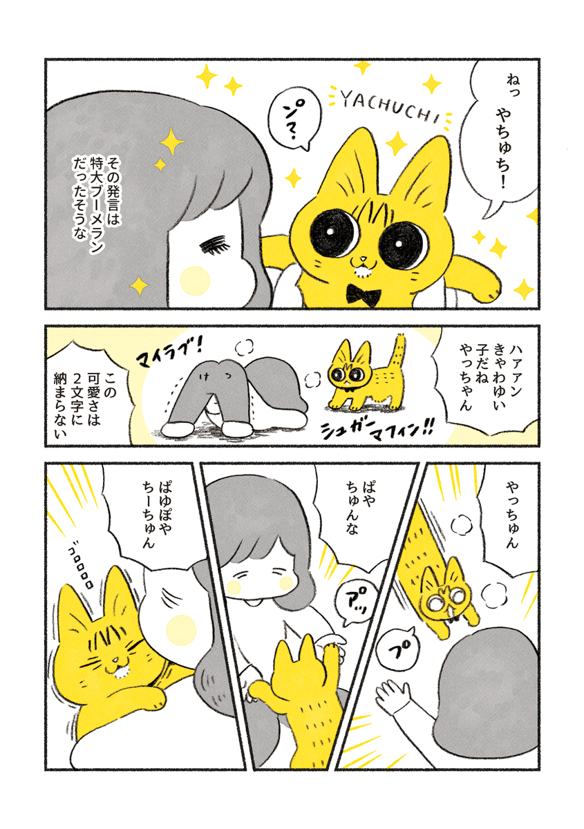 やっちゃんと魔法の言葉 