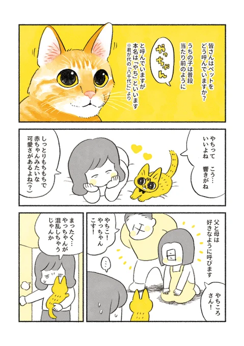 やっちゃんと魔法の言葉 