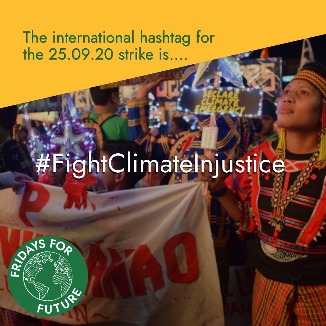Fridays For Future tweet media