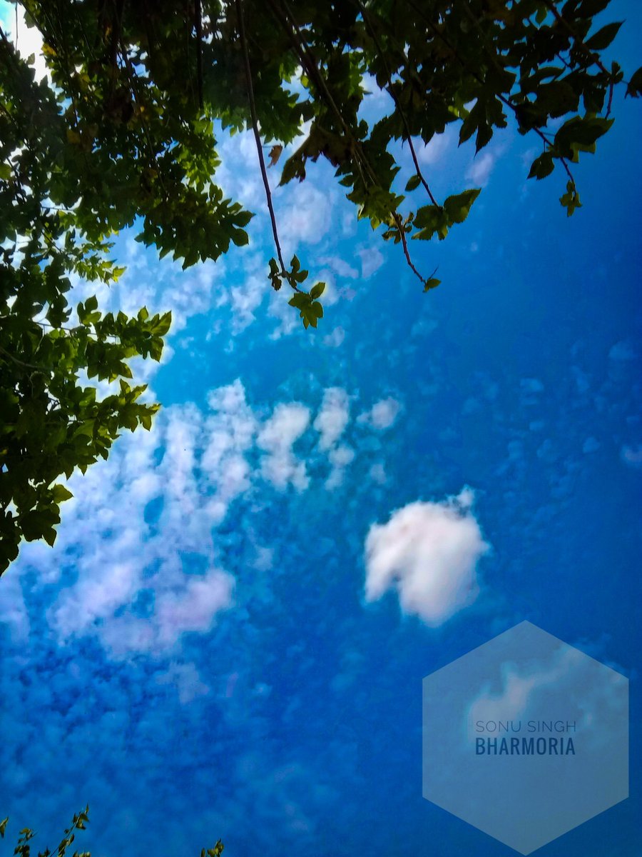 SinghBharmoria's tweet photo. Today click 📷
#sky
#bluesky
#neelagagan
#asmaan
#NaturePhotography
#naturelover
#NatureBeauty
#SonuSinghBharmoria
#HimachalPradesh https://t.co/eE5jYjKYTR