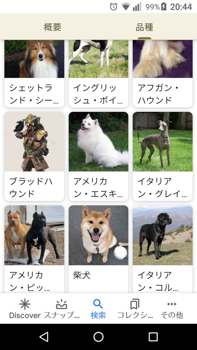Oyayubisan ライターyoutuber 特撮マニア 犬の種類調べてたら明らかに違うの混ざっててワロタ 犬 Apex ブラッドハウンド Oyayubisan ライターyoutuber 特撮マニア 犬の種類調べてたら明らかに違うの混ざっててワロタ 犬 Apex ブラッドハウンド