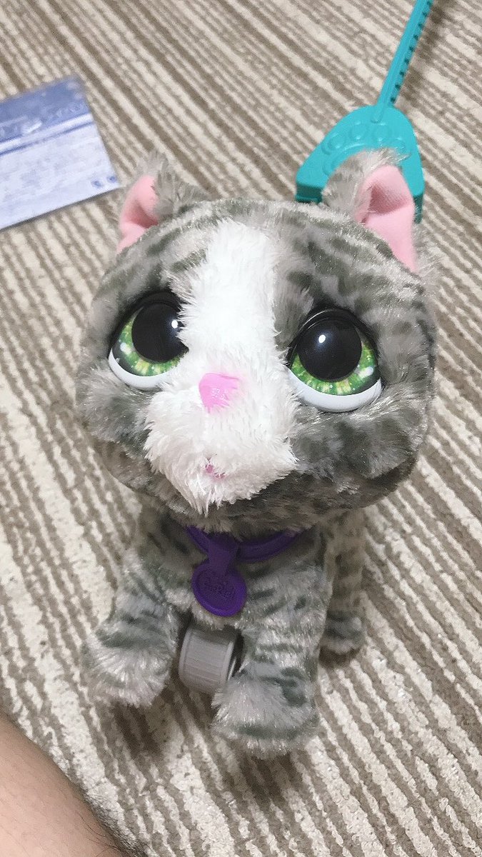 0508Icould's tweet photo. ９月16日娘の３歳の誕生日おめでとう！㊗️🎈🎉
プレゼントもいっぱいみんなありがとうございます。🎁 https://t.co/f1aynradqF