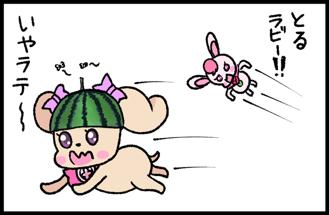食べた後のスイカの皮を気に入ってずっとかぶってるラテさまと、虫が寄ってくるので取りたいラビリン。 