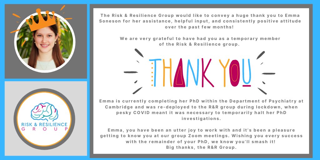 Cambridge & Leiden Risk and Resilience Group tweet media