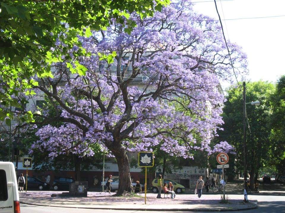 A 44 años seguimos escribiendo