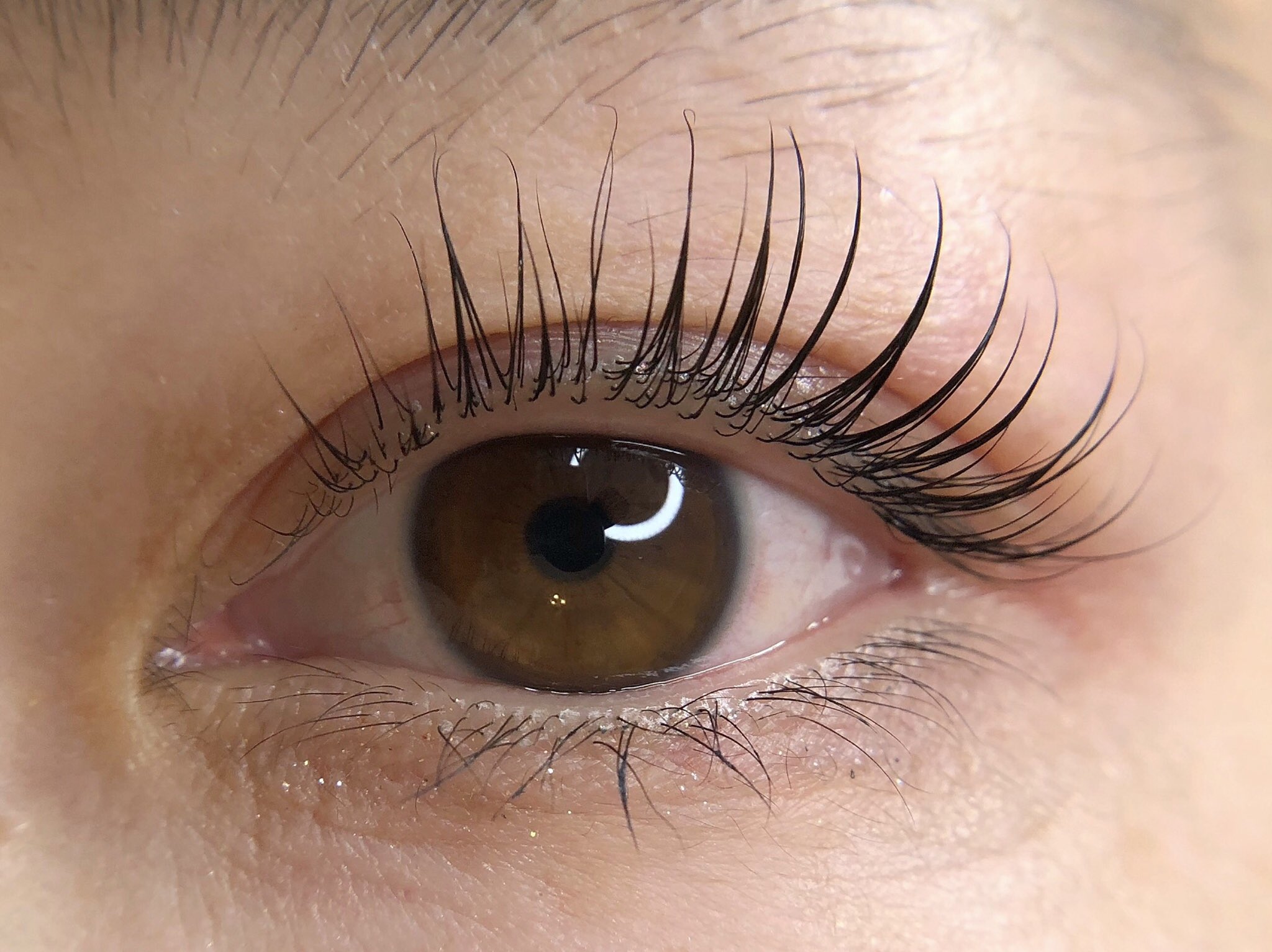 Pu Uwai Eyelash Puuwai Twitter