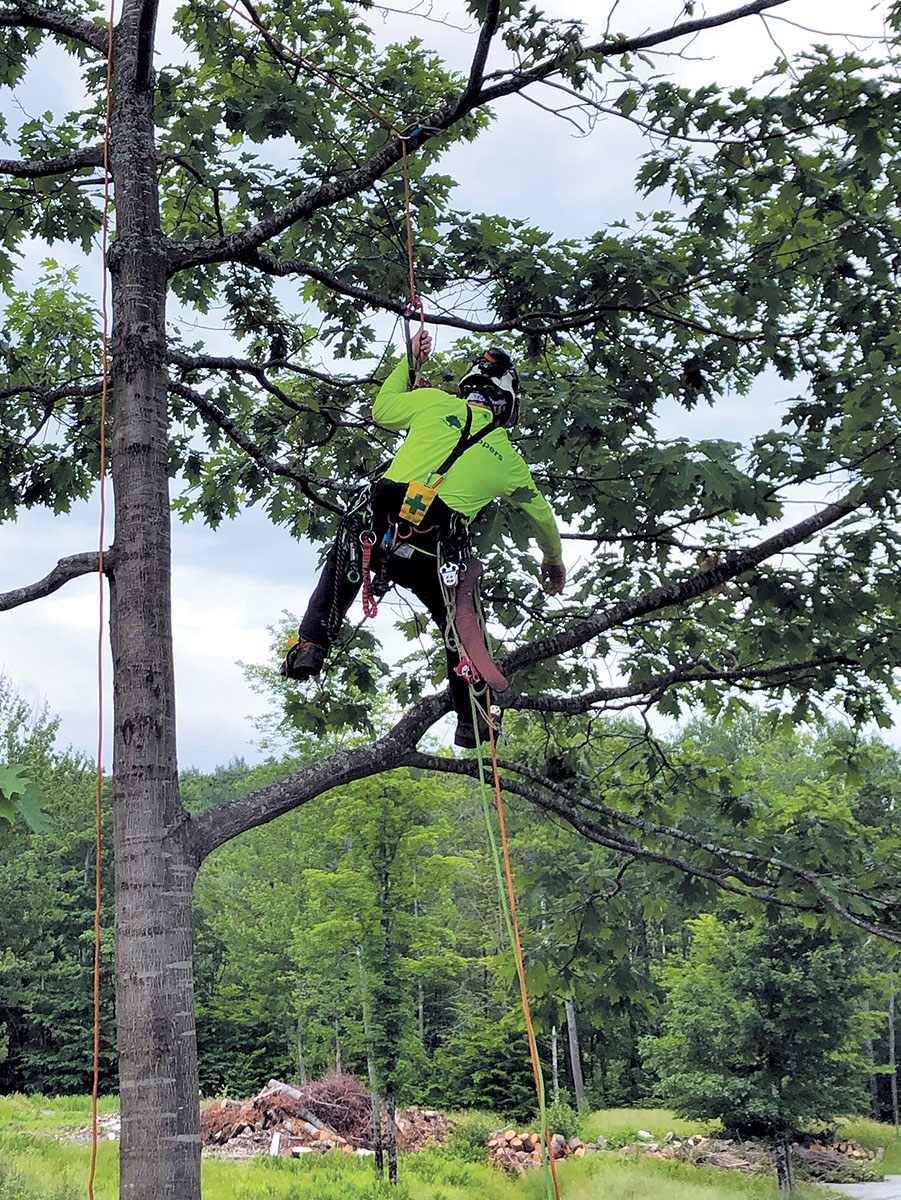 WeAreTCIA's tweet photo. Ascent and descent make up a small percentage of what occurs during tree-climbing operations. Much of the time in the canopy is spent in a work position. 

Learn more about proper climber work positioning in the September TCI Magazine here: https://t.co/XLbfnmFqPt https://t.co/olfJKnSenr
