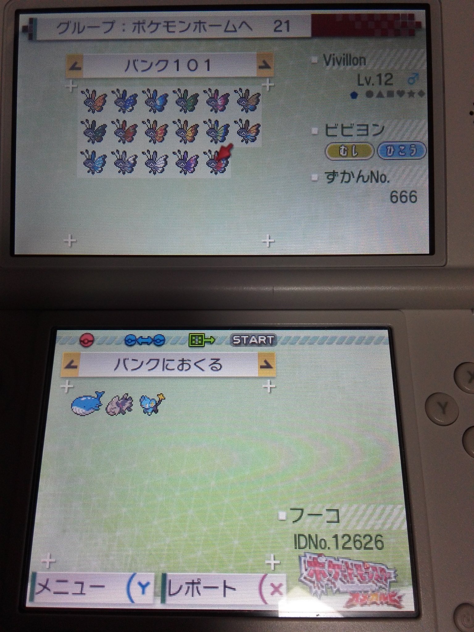 風守雷矛 Fuko Twitterissa ポケモンバンク ポケモンusm ポケモンxy バンクでアローラのポケモンは過去作に持って行けない 白枠 アローラに連れていったポケモンも過去作に持って行けない アローラ ゲームボーイマーク Vc は持って行けない