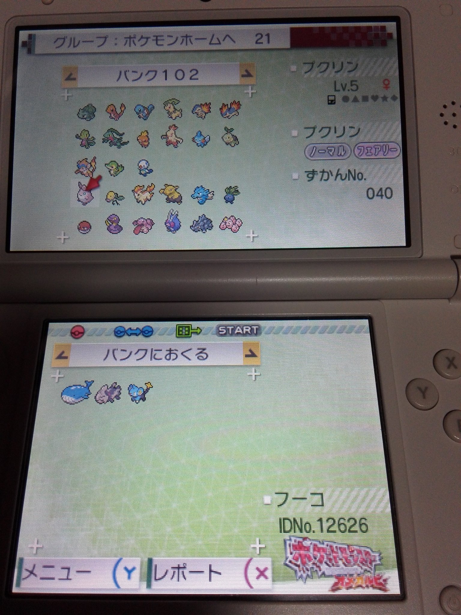 風守雷矛 Fuko Twitterissa ポケモンバンク ポケモンusm ポケモンxy バンクでアローラのポケモンは過去作に持って行けない 白枠 アローラに連れていったポケモンも過去作に持って行けない アローラ ゲームボーイマーク Vc は持って行けない