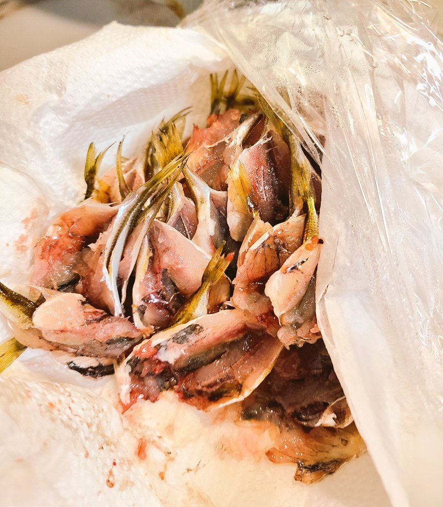 今日釣ったアジを揚げる🥺 