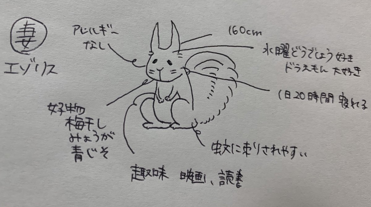 upadtyan's tweet photo. 愉快な動物たち https://t.co/IXWZIibqCN