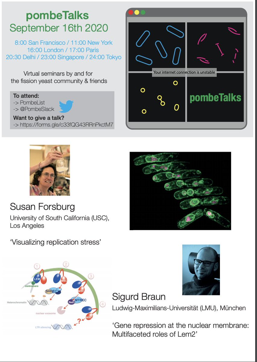 Agnisrota (@agnisrota1) on Twitter photo Looking forward to Dr.Sigurd Braun <a href="/TheBraunLab/">TheBraunLab</a> and Prof. Susan Forsburg in our upcoming Pombetalks <a href="/PombeSlack/">PombeSlack</a> - pls join us! 😀 Looking forward to Dr.Sigurd Braun <a href="/TheBraunLab/">TheBraunLab</a> and Prof. Susan Forsburg in our upcoming Pombetalks <a href="/PombeSlack/">PombeSlack</a> - pls join us! 😀