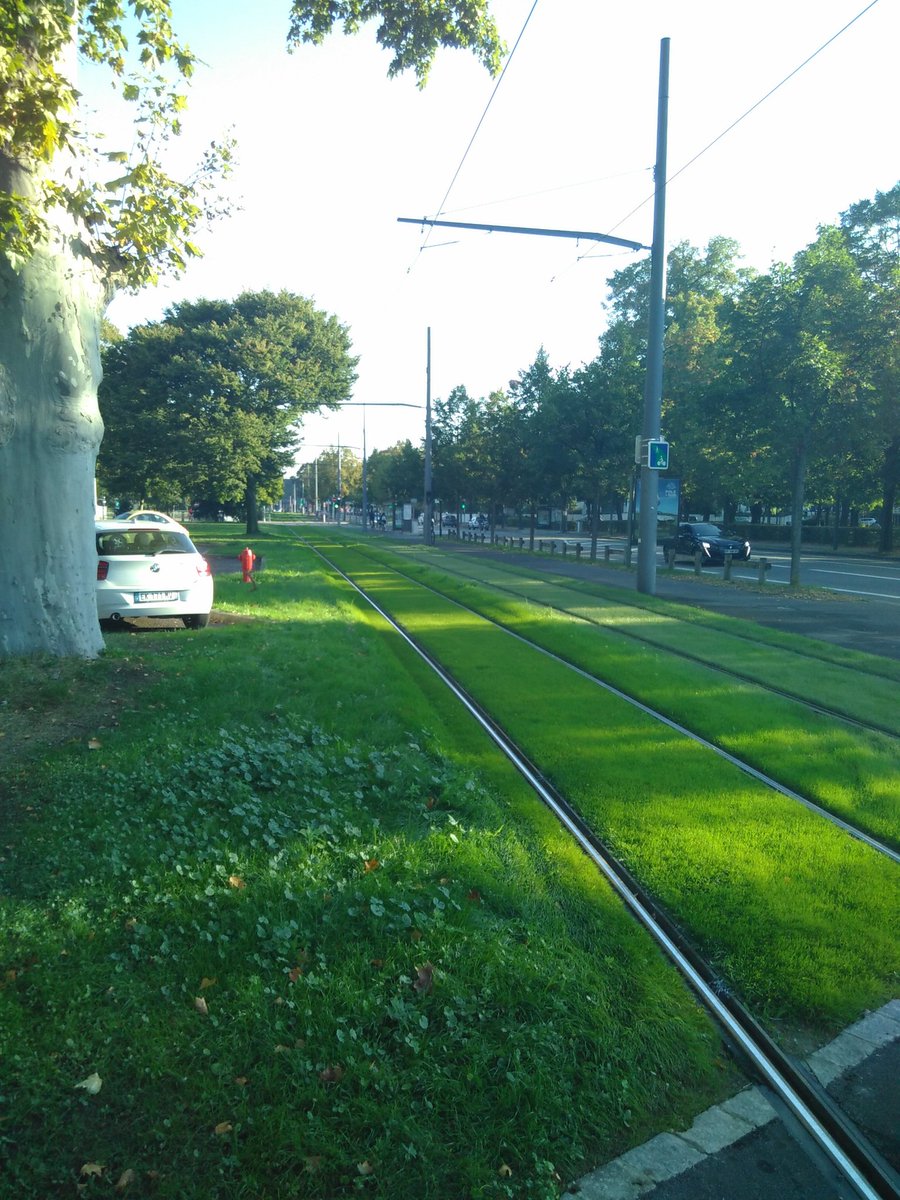 jpklipfel's tweet photo. Bonjour @strasbourg, lors des travaux de renouvellement de rails cet été pourquoi ne pas avoir profiter de l'occasion pour embellir et rafraîchir l'avenue de Colmar avec du gazon? #équitéquartiers #meinau @ABDELKARIMR https://t.co/6qEMoFZ9d3