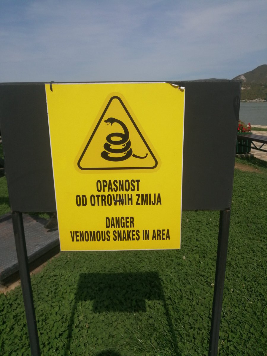Mazgalj's tweet photo. #golubackatvrdjava taman mislio da sam pobegao iz NS od istih https://t.co/1LbeN1jkEt