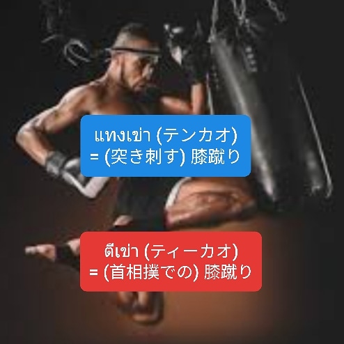 ティーカオ Twitter Search Twitter