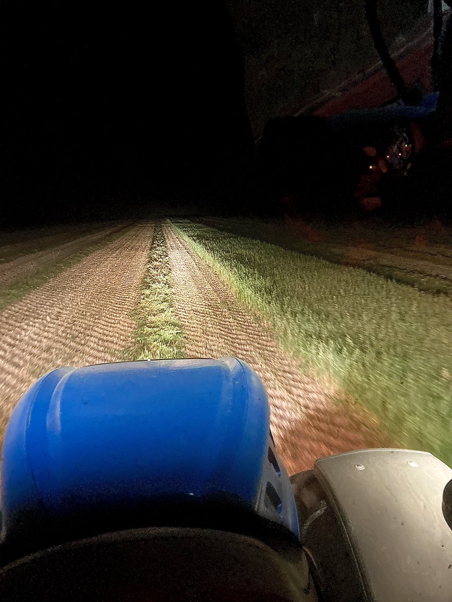 Braden Grylls tweet media