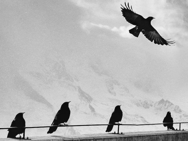 What Separates #CustomerExperience Leaders from the Laggards? via <a href="/cmswire/">CMSWire.com</a> buff.ly/2KY0TH1