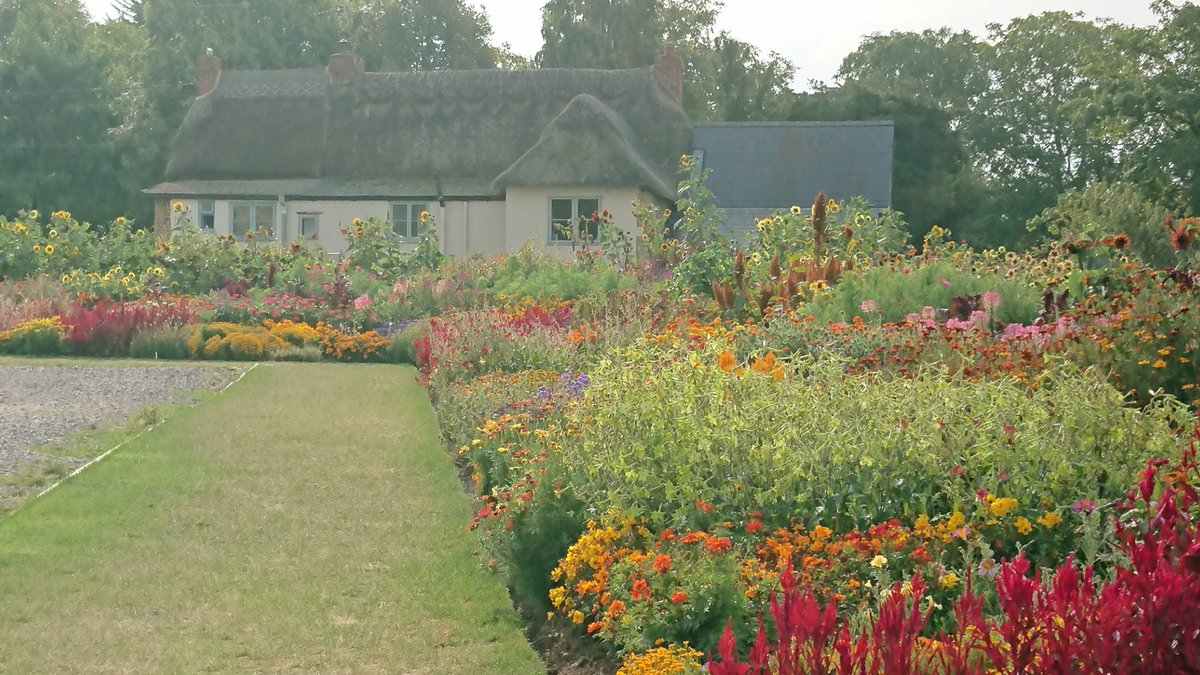 MarkLaneTV's tweet photo. This Friday I'm live at the @AppledoreBkFest launching my book and recorded at @AstonPottery for @GWandShows, talking about prairie planting. @GWmag @GdnMediaGuild #GardenersWorld #prairieplanting https://t.co/2RvlxBVQxi