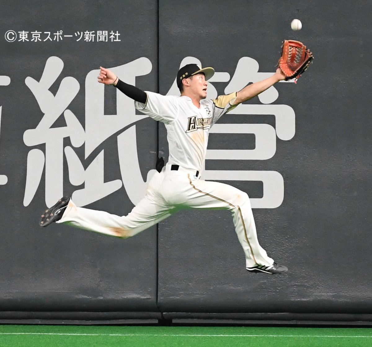 東スポ写真部 No Twitter プロ野球 2020年9月16日 日本ハム ソフトバンク 札幌ドーム 9回表 真砂勇介 の打球を ファインプレー の 西川遥輝 北海道日本ハムファイターズ 北海道 ファイターズ Fighters 東スポ写真部 No Twitter プロ野球 2020年9月16日 日本ハム ソフトバンク 札幌ドーム 9回表 真砂勇介 の打球を ファインプレー の 西川遥輝 北海道日本ハムファイターズ 北海道 ファイターズ Fighters