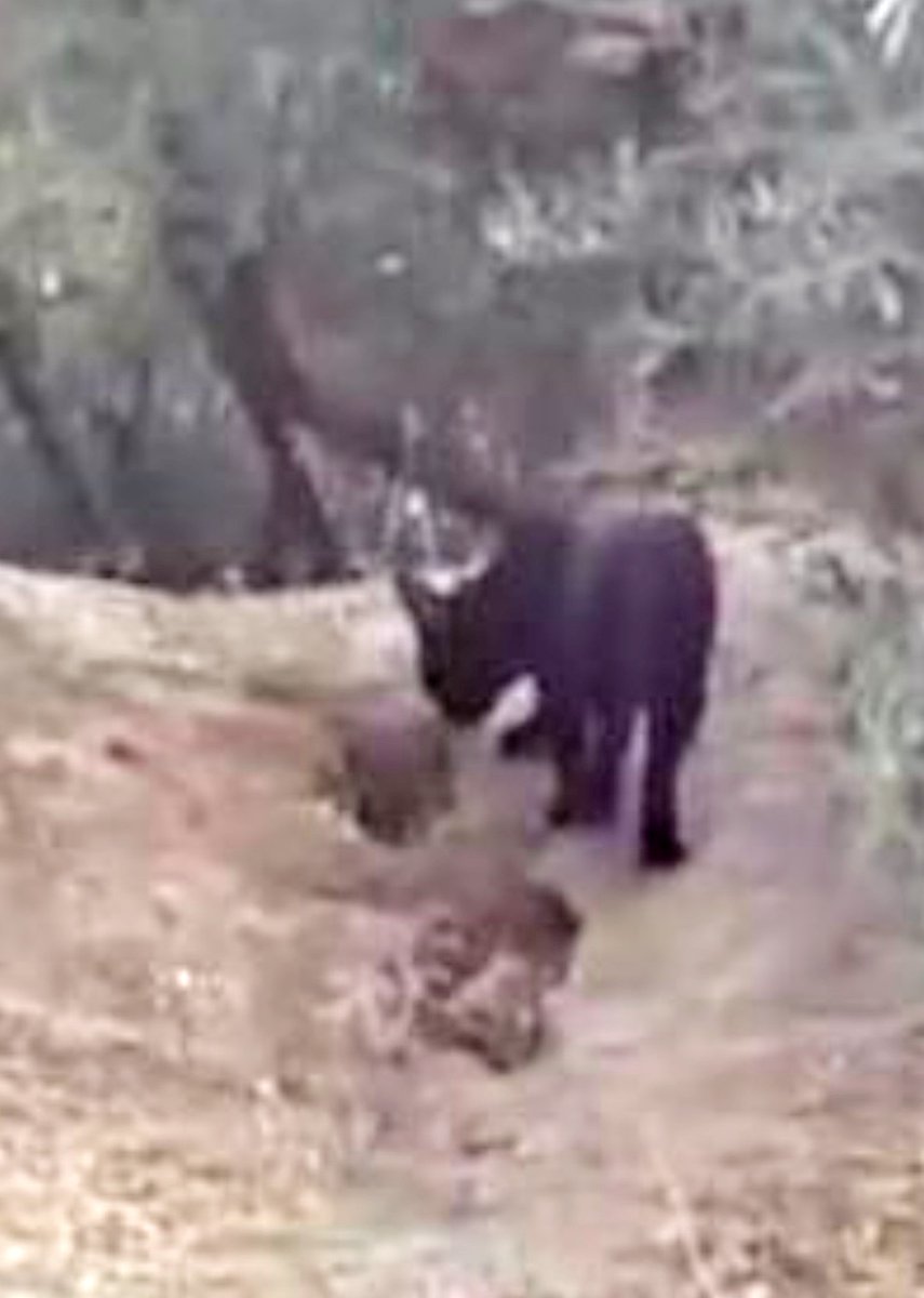 ALCALÁ TODAY tweet media