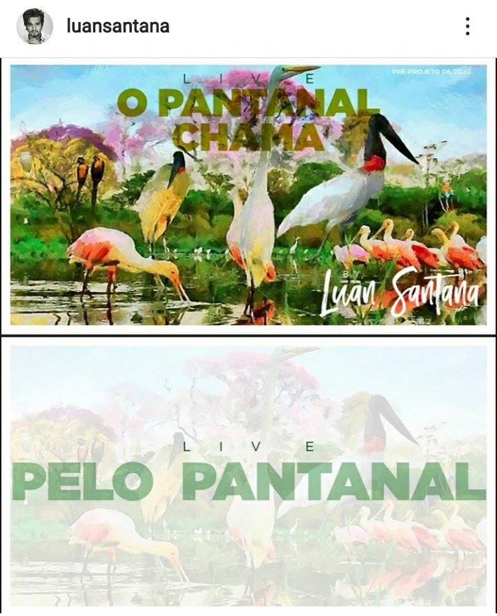ifigotliam's tweet photo. O Luan Santana pretende fazer uma live direto do pantanal para chamar a atenção sobre as queimadas que estão dizimando o bioma. 

Ele está a procura de parceiros para ajudar essa causa tão importante a DOIS MESES e até ele postar em suas redes ngm tinha aceitado

O PANTANAL CHAMA https://t.co/gAeplewGgw