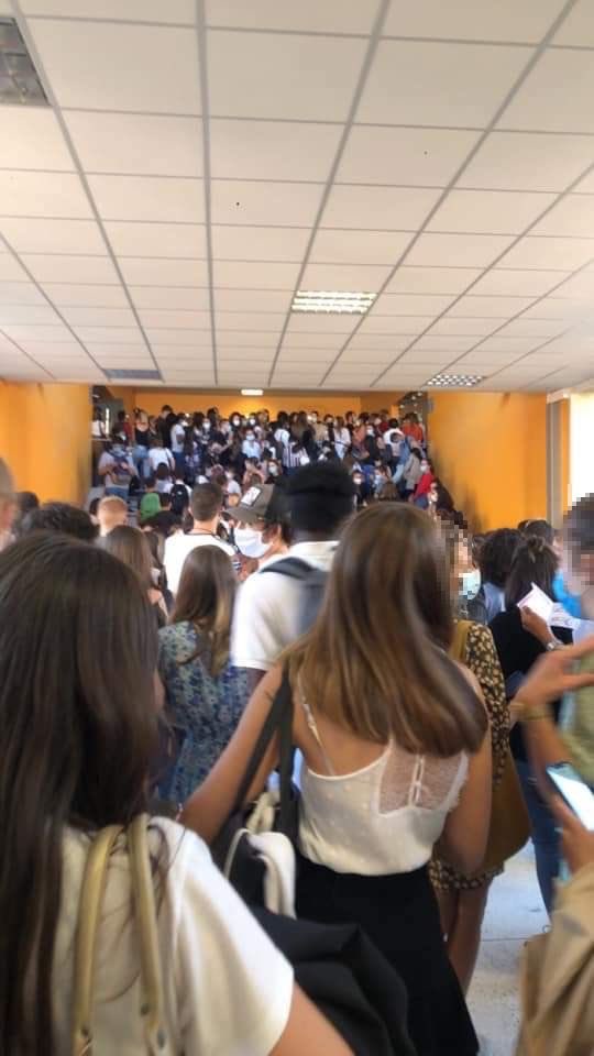 Rengoku 🇩🇿🇵🇸 tweet media