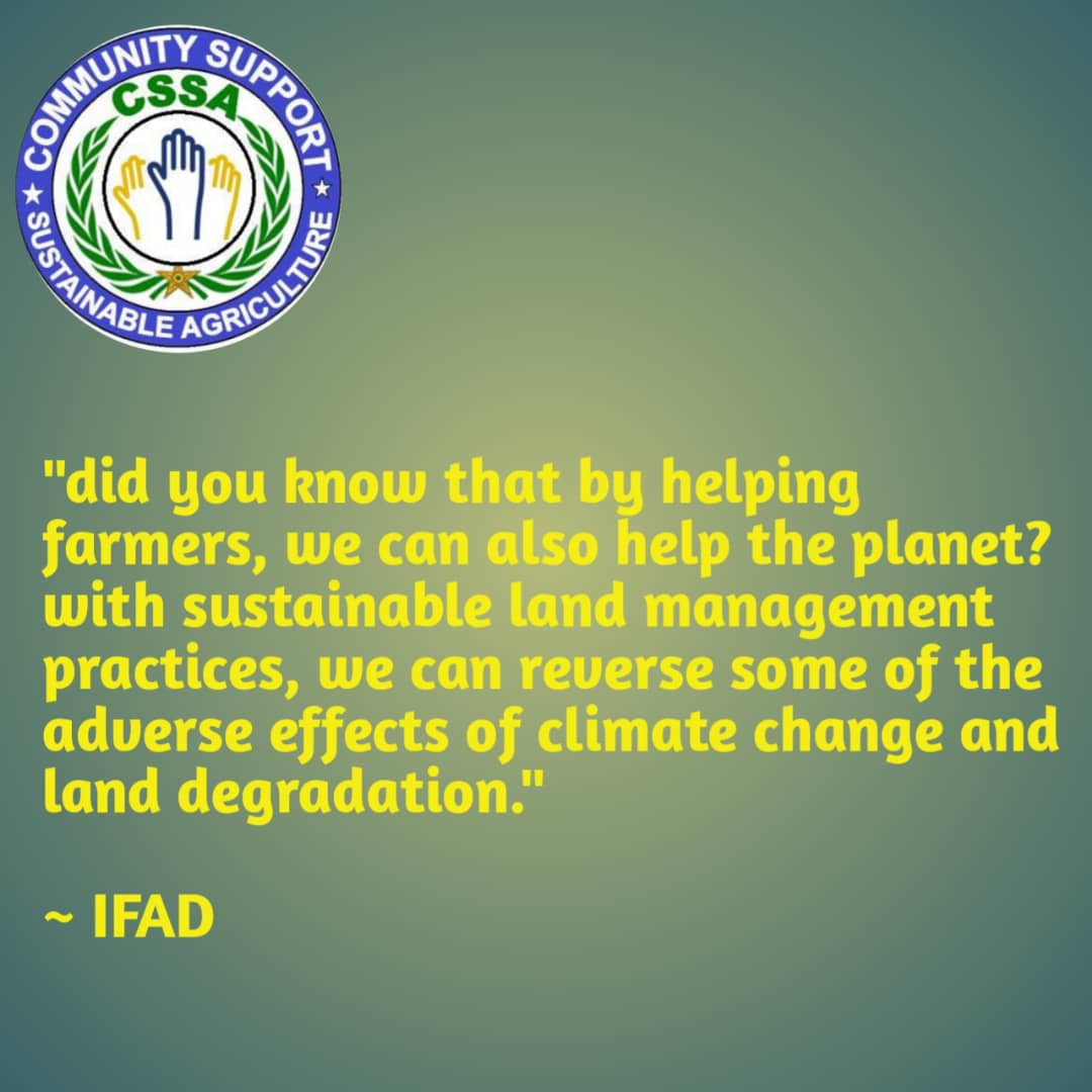 CSSA2019's tweet image. 