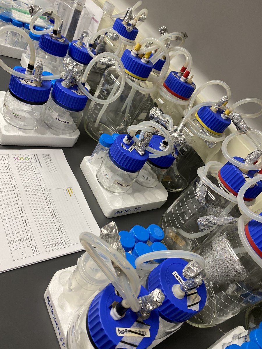 Solize Oosthuizen (Vosloo) tweet media