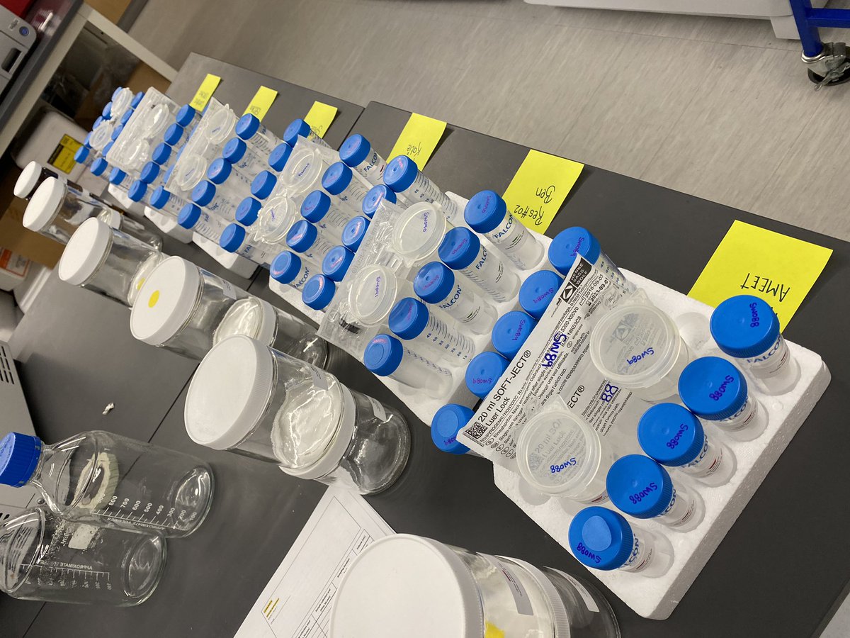 Solize Oosthuizen (Vosloo) tweet media