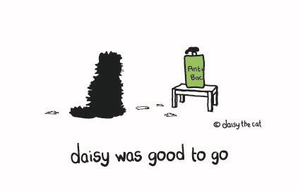 DaisyTheCatUK's tweet photo. #CatsOfTwitter #blackcats #whiskerswednesday https://t.co/Ob22cI39ou