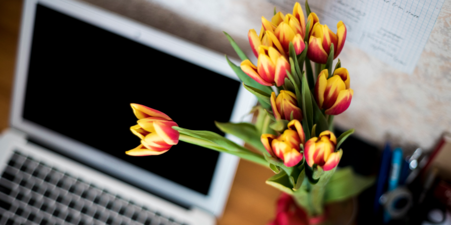 WeAreVAs's tweet photo. Need help finding great content to share with your audience? Check out these 4 apps: https://t.co/a6ioZWQNSS #VAlife https://t.co/1f0RHOjqJD