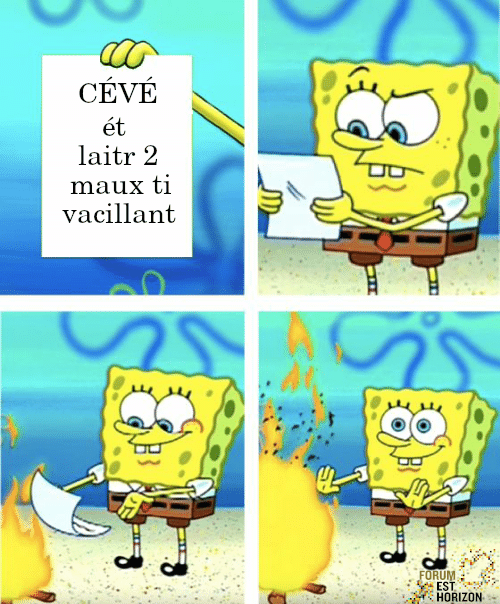 Sinon au <a href="/ForumEstHorizon/">Forum Est-Horizon</a> on a aussi un atelier de correction. 😉

----
Ceux qui décrochent un stage/emploi se sont inscrits sur notre site web, alors n'hésitez plus : est-horizon.com