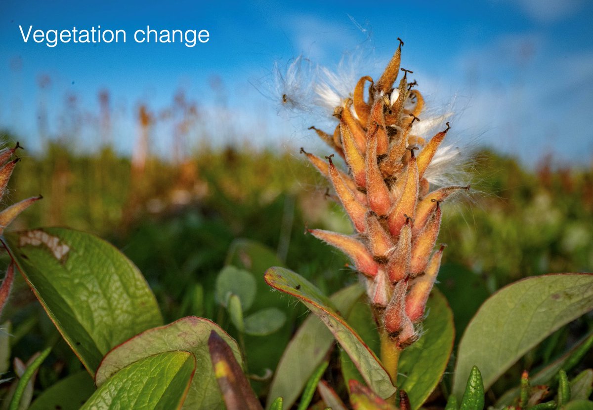 BIOCHANGE tweet media