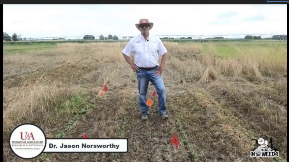 Effect of Cereal Rye Termination Timing on Weed Control in Soybean. Please like this video and subscribe to the channel.
slkt.io/8lI6/51253367