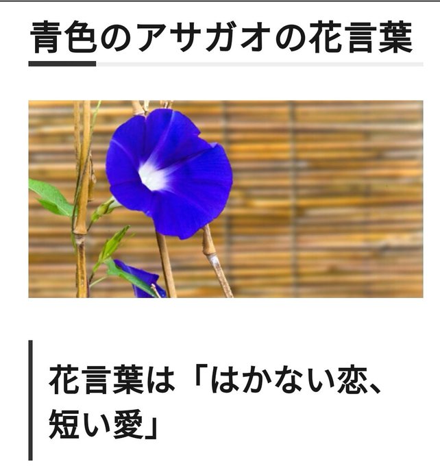 アサガオのtwitterイラスト検索結果 古い順