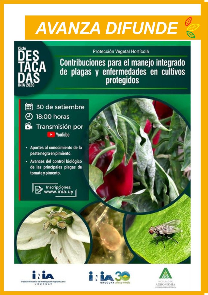 Salto Hortícola (@saltohorticola) on Twitter photo 