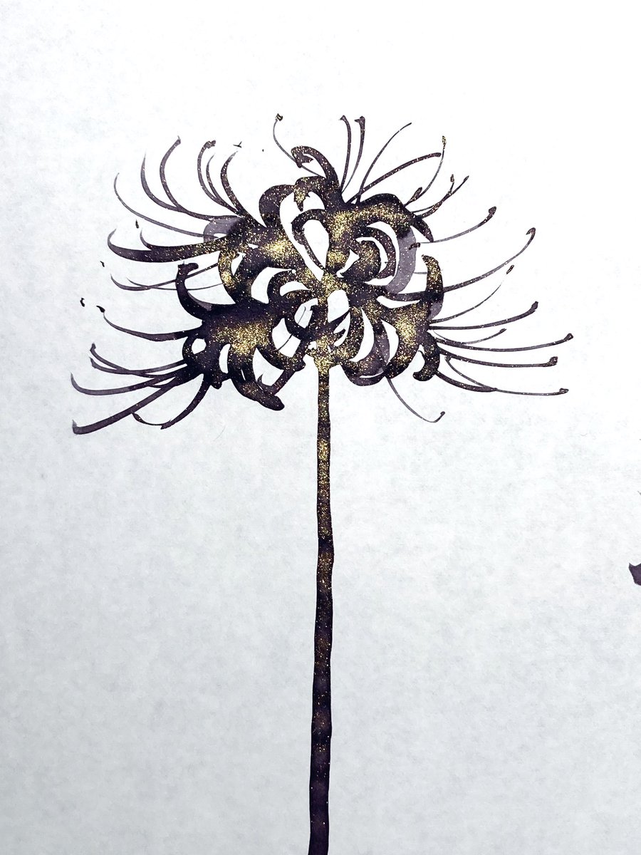 suzukiseichou's tweet image. 京極夏彦「陰摩羅鬼の瑕」より
二人静で彼岸花を描いてみた。

#京極堂班　#二人静　#endpaper #万年筆インク