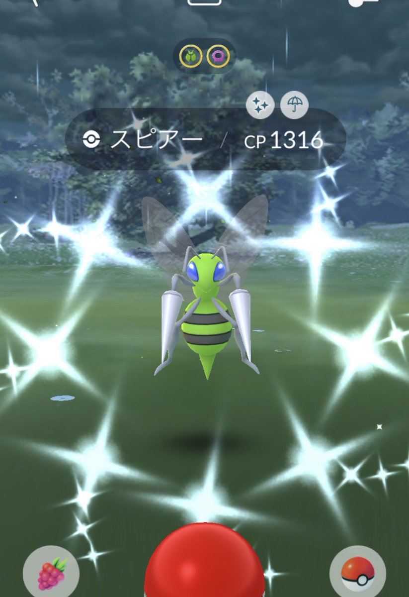 スピアー色違い スピアー色違い