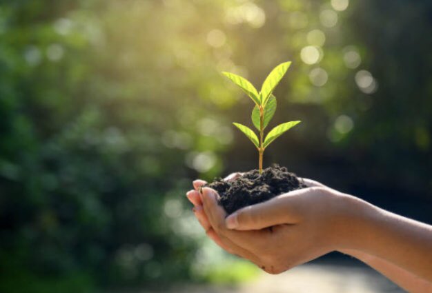 wendy chambers (@wendyahpdem) on Twitter photo An inspiring morning with <a href="/ElizabethCasso1/">ElizabethCassonTrust</a> #OTLeadershipProgram <a href="/con_mcginley/">LouiseMcGinley</a> Flourishing, self care & growth. Powerful stuff 🌈 <a href="/FionaMacNeill/">Fiona MacNeill</a> An inspiring morning with <a href="/ElizabethCasso1/">ElizabethCassonTrust</a> #OTLeadershipProgram <a href="/con_mcginley/">LouiseMcGinley</a> Flourishing, self care & growth. Powerful stuff 🌈 <a href="/FionaMacNeill/">Fiona MacNeill</a>