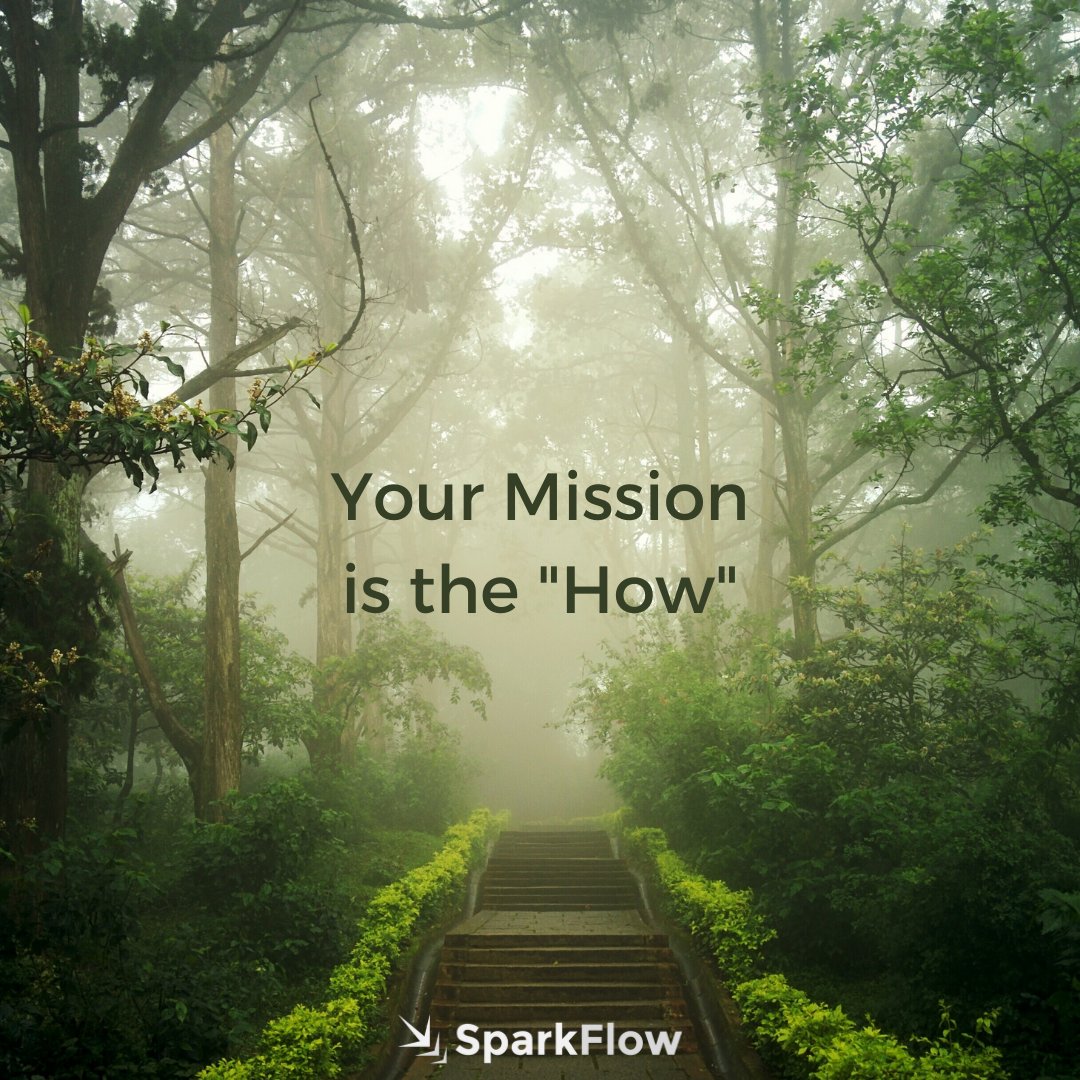 Your mission statement describes the unique thing that you do to achieve your vision. It’s what separates you from other organizations.

Learn more about writing a mission, vision, and values statement at sparkflow.co/blog/nonprofit…