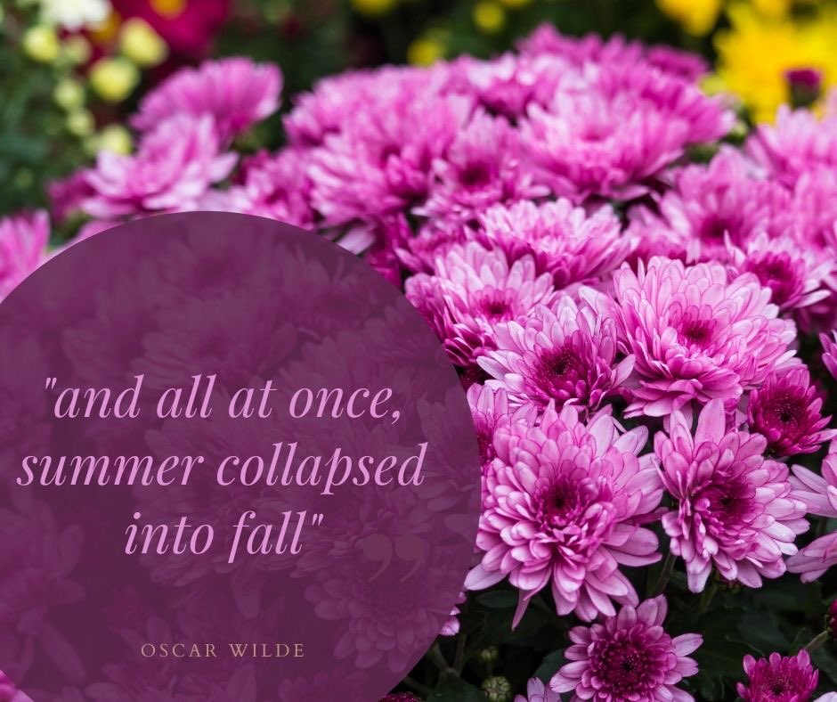 We love the fall with all the beautiful colors it has to offer! Mums and fall annuals really add to that magic! What does your fall garden look like.