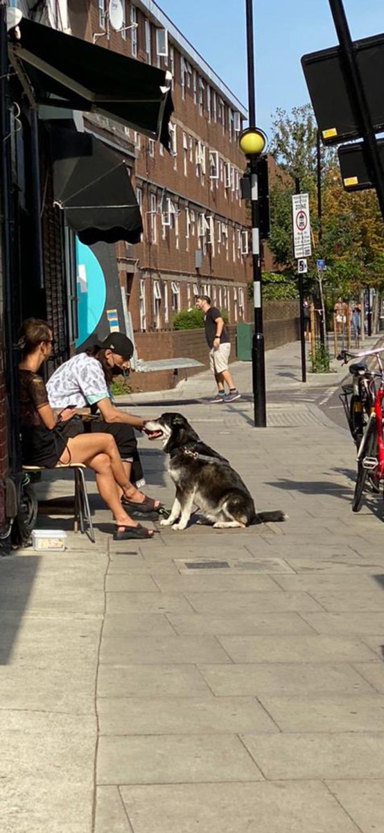 adamtfv's tweet photo. @hackneygazette @mayorofhackney @HackneyPolice a known criminal/dealer has been following dog owners and attempted to steal at least 1 dog. Local police are refusing to do anything unless the dog is physically taken. Attempted theft means nothing to the police it. https://t.co/vL1nHrbG1v