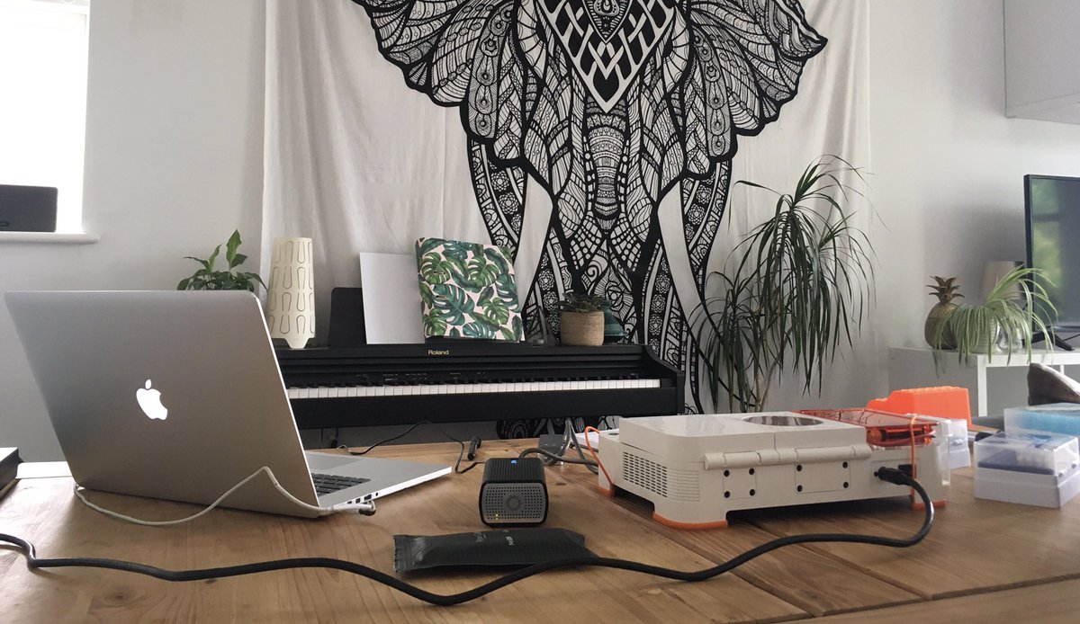 Ineke Knot tweet media