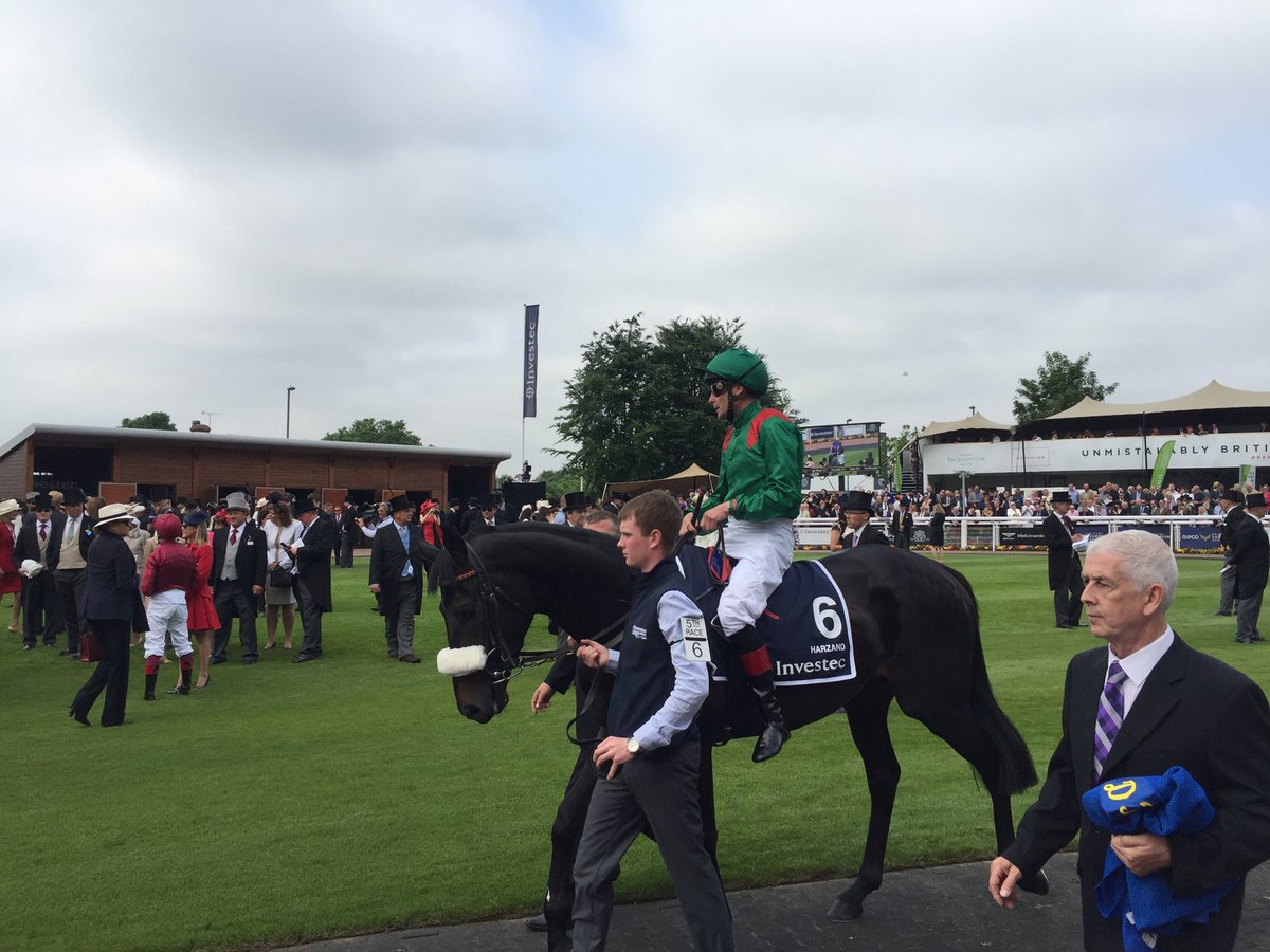 simonmalcolm's tweet image. Before he won the 2016 Derby. Pat Smullen on Harzand.