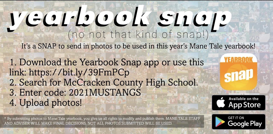 Mustang Media tweet media
