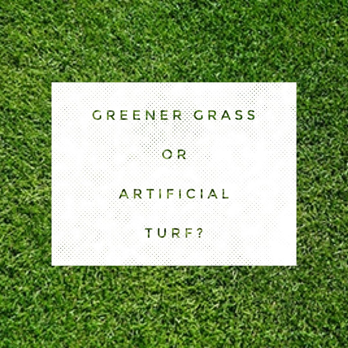 JohnEdMathison's tweet image. God’s greenest grass is right where you are standing. Produce where you are planted!  Click the link to read this week's blog:
johnedmathison.org/greener-grass-…