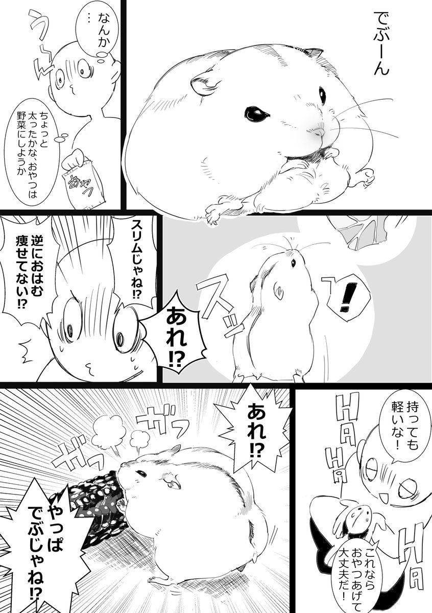 ハムスターは角度が重要。55gです!
#ハムスター漫画 