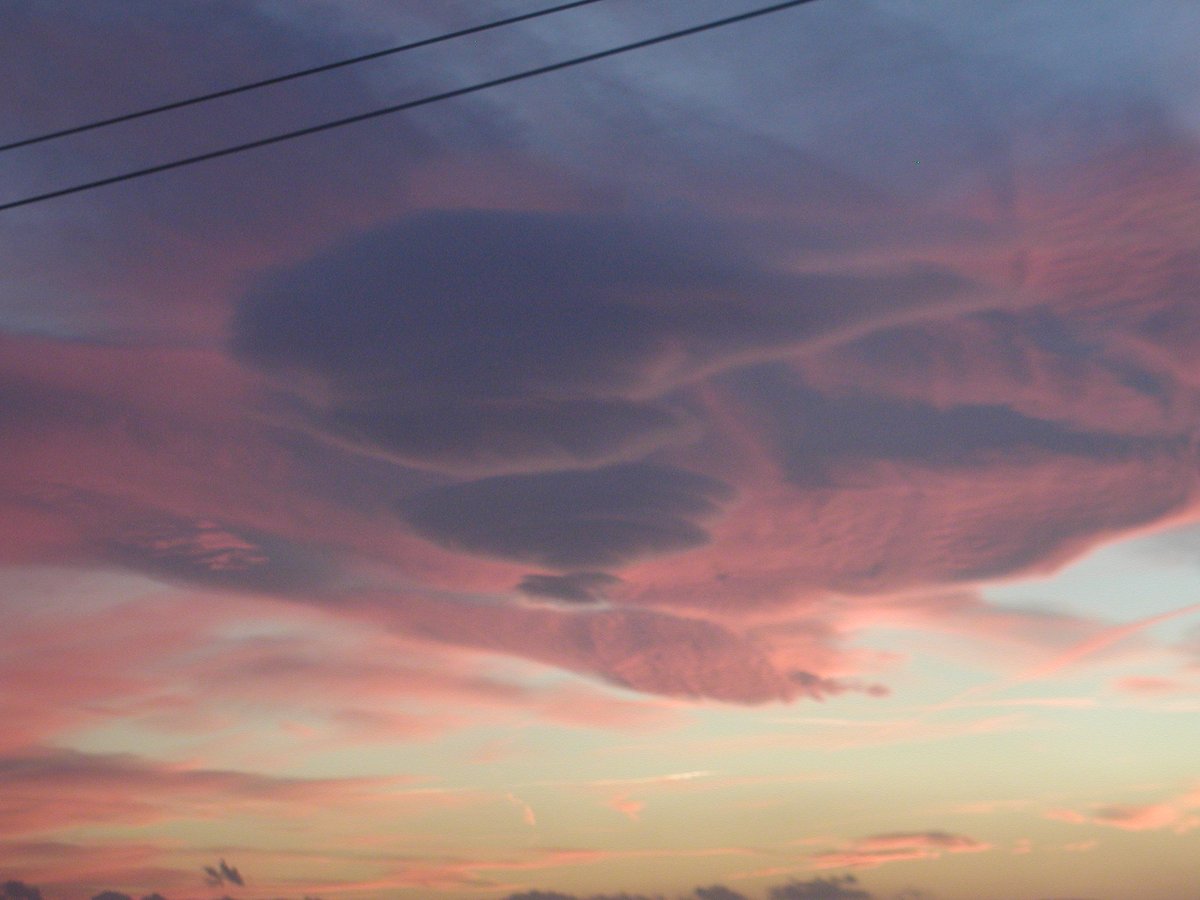 drphibes67's tweet image. 